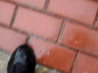 Ns Bilder vom Stuhl Gepisst