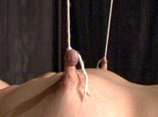 Nippel Folter Nippel Folter